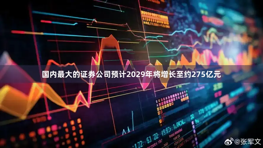 国内最大的证券公司预计2029年将增长至约275亿元