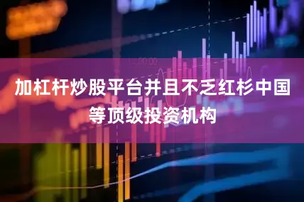 加杠杆炒股平台并且不乏红杉中国等顶级投资机构