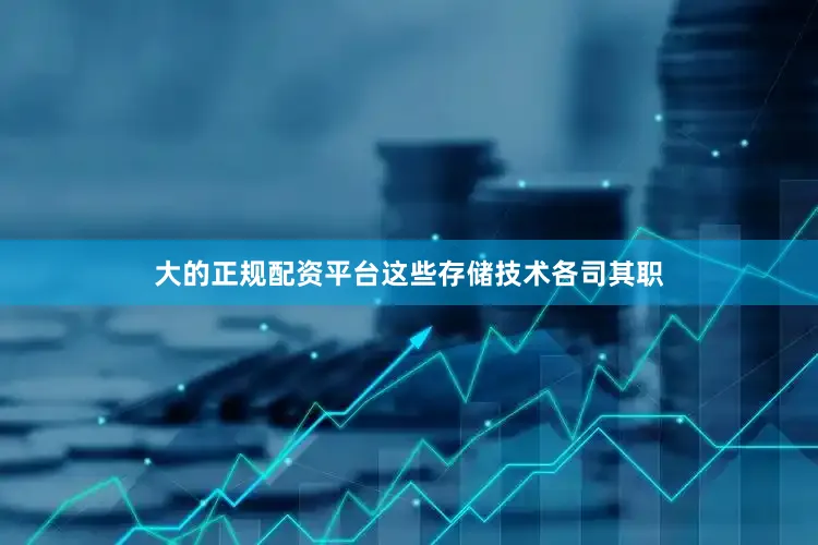 大的正规配资平台这些存储技术各司其职