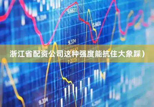浙江省配资公司这种强度能抗住大象踩）